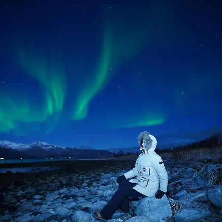 Arctic Rektor